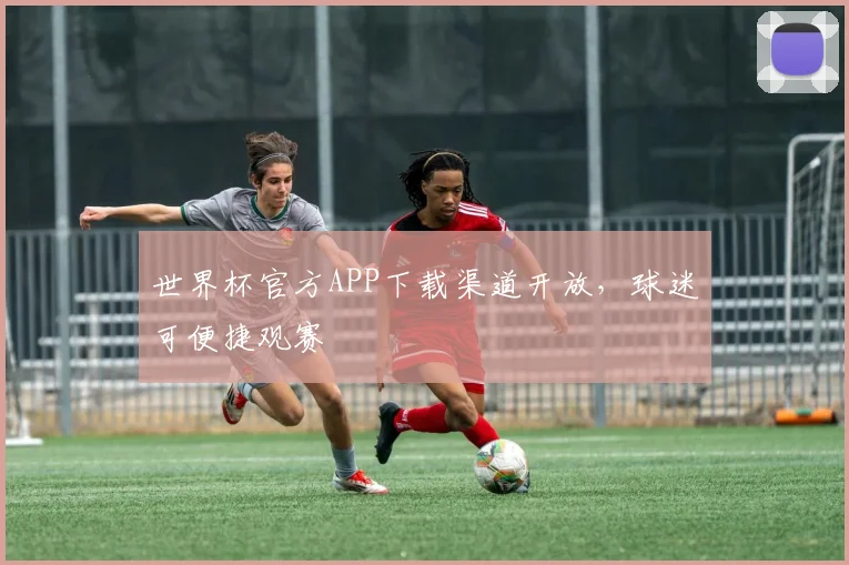 世界杯官方APP下载渠道开放，球迷可便捷观赛