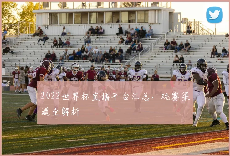 2022世界杯直播平台汇总，观赛渠道全解析